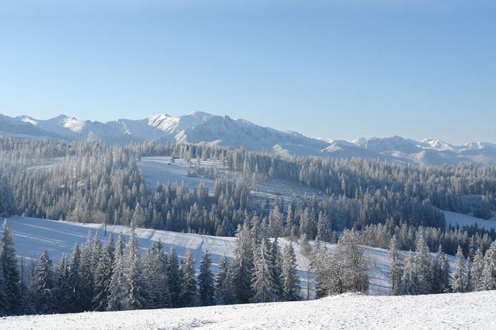 Pokoje Goscinne U Zofii Bukowina Tatrzańska Esterno foto